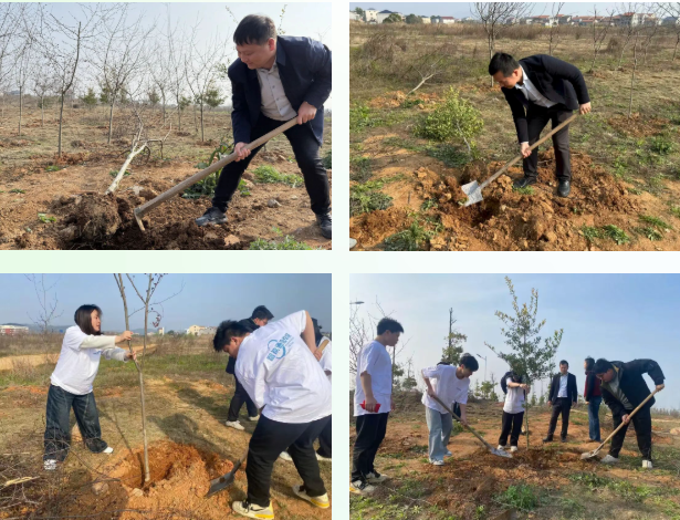 1778050391183055344.png image.png
